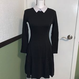 Women's Long Sleeve Casual Peter Pan Collar Fit and Flare Skater Dress